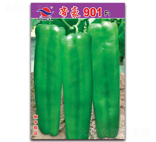 �ۺ�901-��Ƥ�ݽ�����-�췢��ҵ