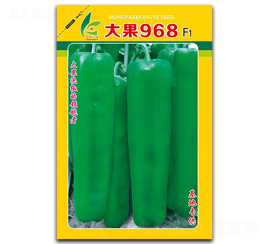���968-��Ƥ�ݽ�����-�췢��ҵ
