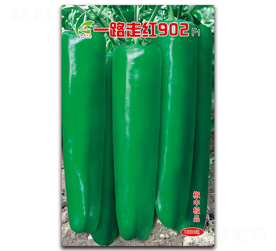 һ·�ߺ�902-��Ƥ�ݽ�����-�췢��ҵ