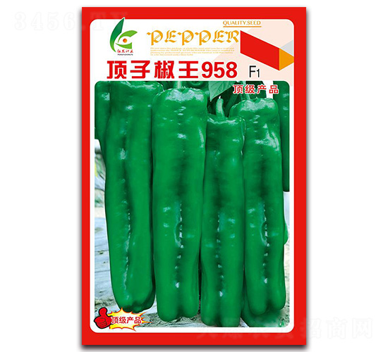 ���ӽ���958-��Ƥ�ݽ�����-�췢��ҵ