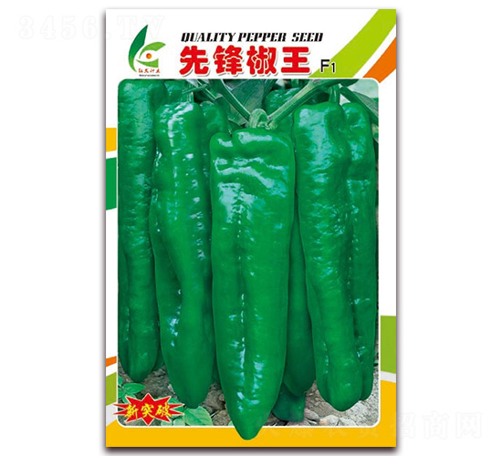 �ȷ潷��-��Ƥ�ݽ�����-�췢��ҵ
