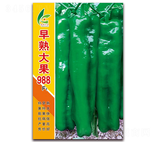 ������988-��Ƥ�ݽ�����-�췢��ҵ