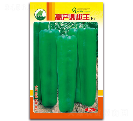 �߲�������-��Ƥ�ݽ�����-�췢��ҵ