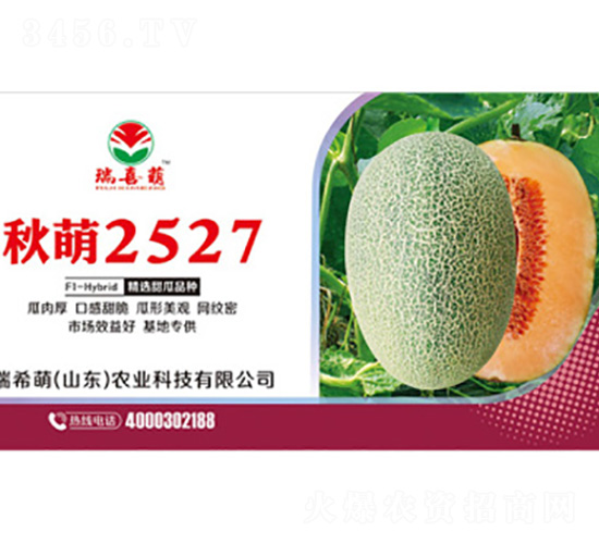 ����2527-�������-��ϣ��