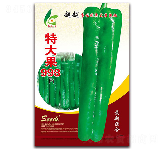 �ش��998-��Ƥ�ݽ�����-�췢��ҵ