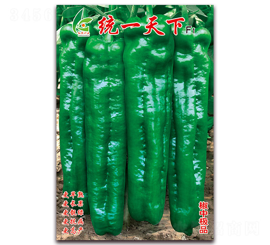 ͳһ����-��Ƥ�ݽ�����-�췢��ҵ