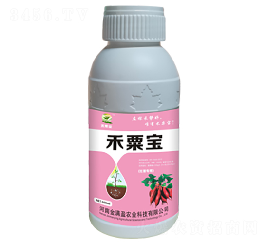 ������׳��-���ڱ�-����ӯ