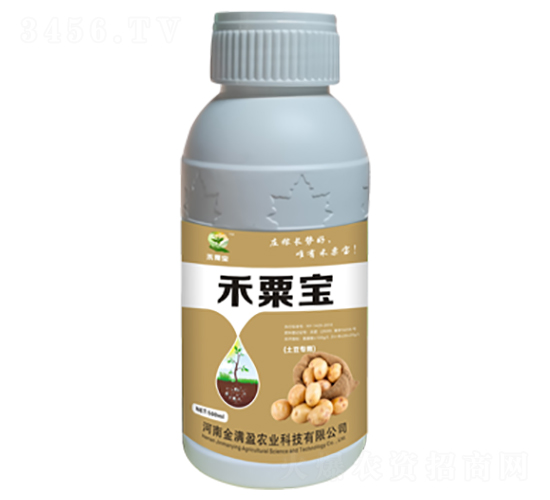 ������׳��-���ڱ�-����ӯ