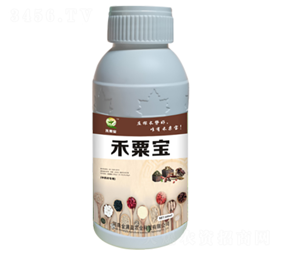 ��ҩ�Ľ�׳��-���ڱ�-����ӯ