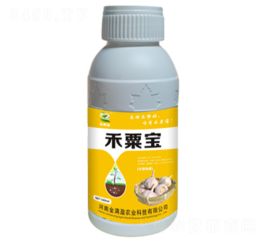 ���⽡׳��-���ڱ�-����ӯ