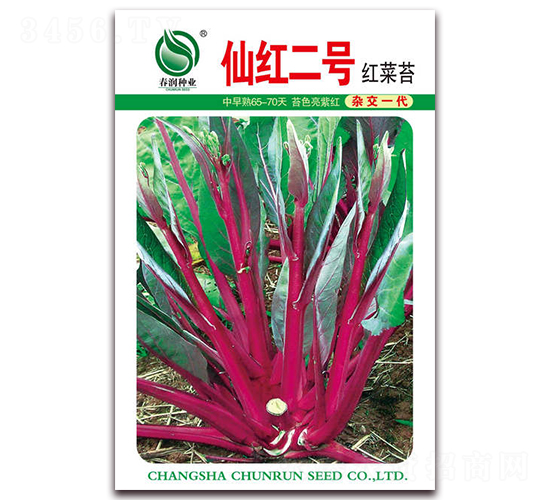 �ɺ�һ��-��޷����-������ҵ