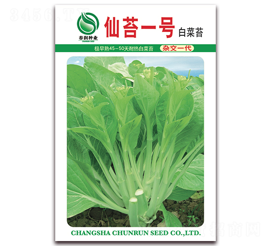 �ɺ����-��޷����-������ҵ