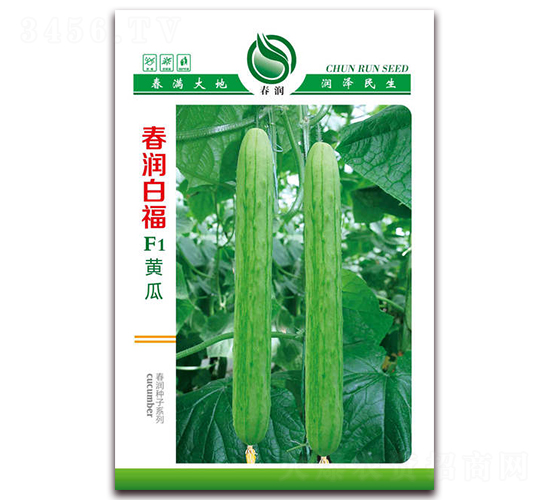 ����׸�F1-�ƹ�����-������ҵ