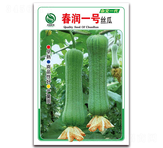 ����һ��-˿������-������ҵ