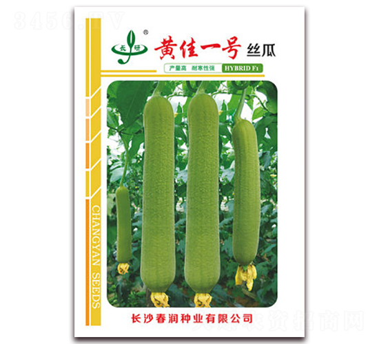 �Ƽ�һ��-˿������-������ҵ
