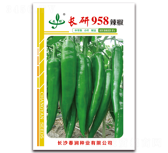 ����958-��������-������ҵ