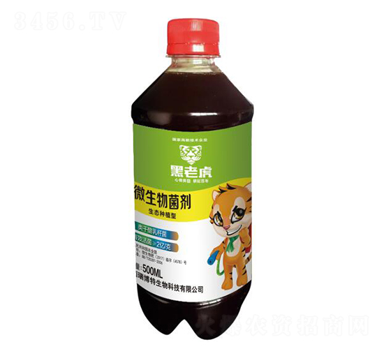 500ml΢�������-���ϻ�-����