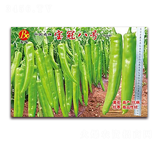 ���ڰ˺�-�߽�����-������ҵ