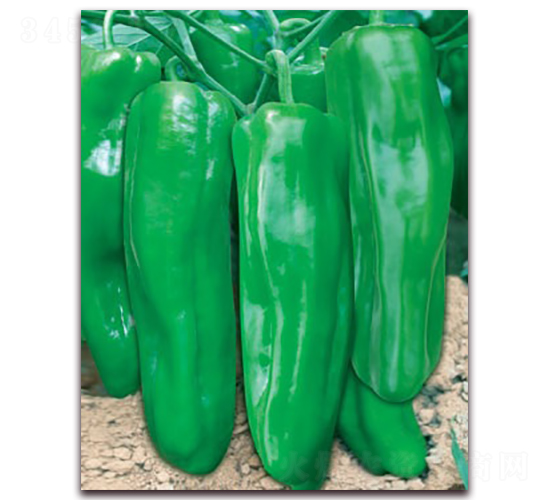 ��һ��908A-�ݽ�����-������ҵ