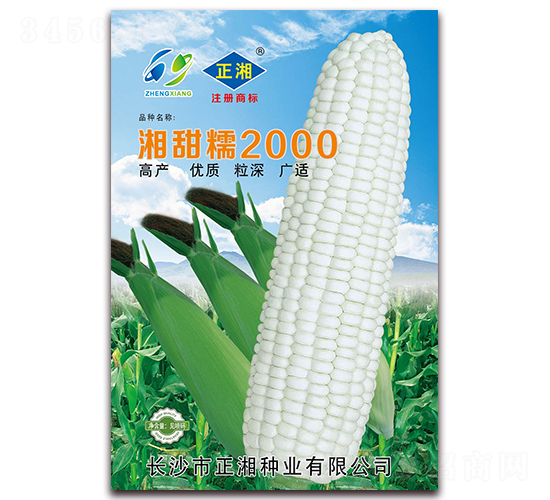 ����Ŵ2000-Ŵ��������-������ҵ