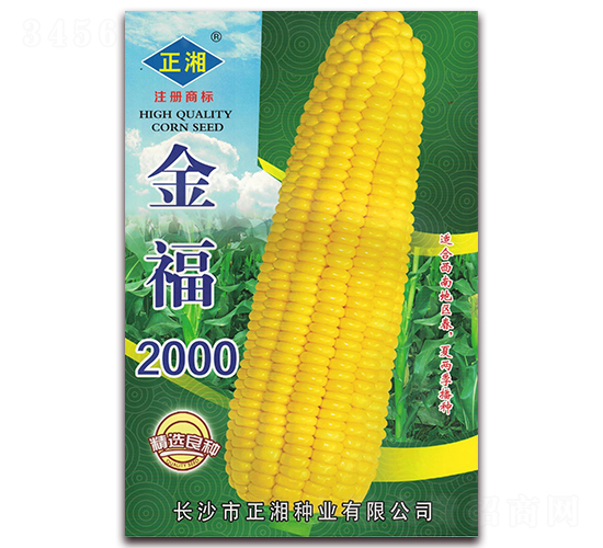 ��2000-Ŵ��������-������ҵ