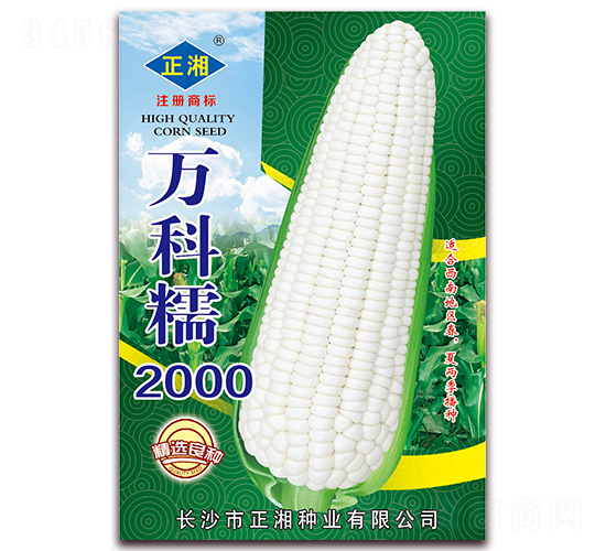 ���Ŵ2000-Ŵ��������-������ҵ