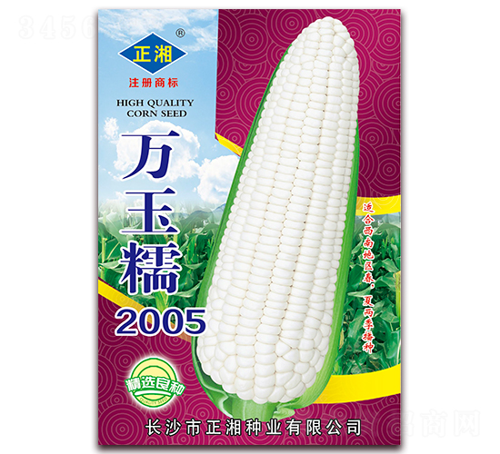 ����Ŵ2005-Ŵ��������-������ҵ
