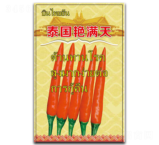 ̩��������-���콷����-������ҵ