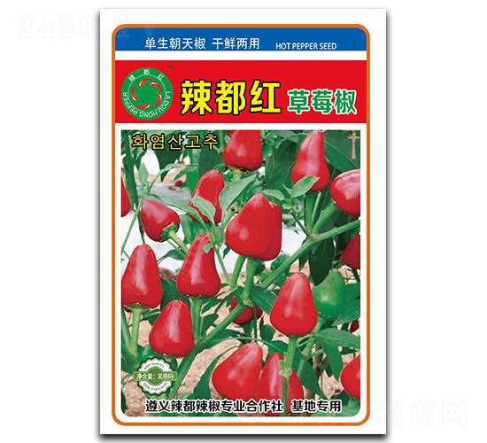�������ݮ��-���콷����-������ҵ