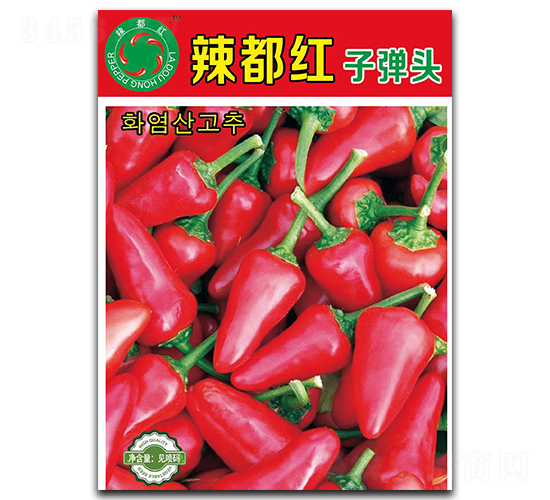�������ӵ�ͷ-���콷����-������ҵ