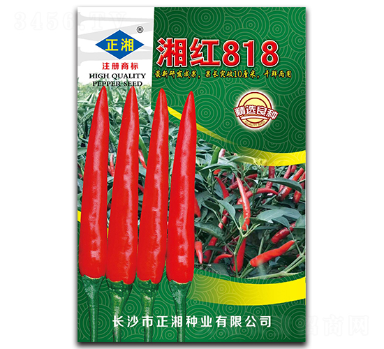 ���818-���콷����-������ҵ