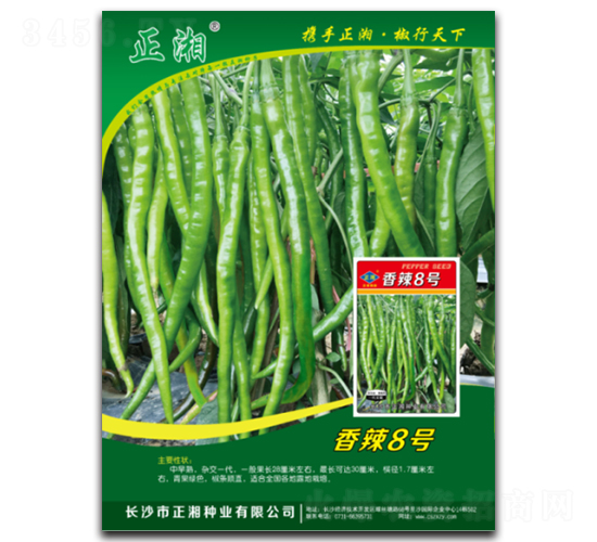 ��������8��-�߽�����-������ҵ