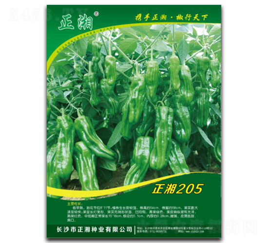 ����205-�߽�����-������ҵ
