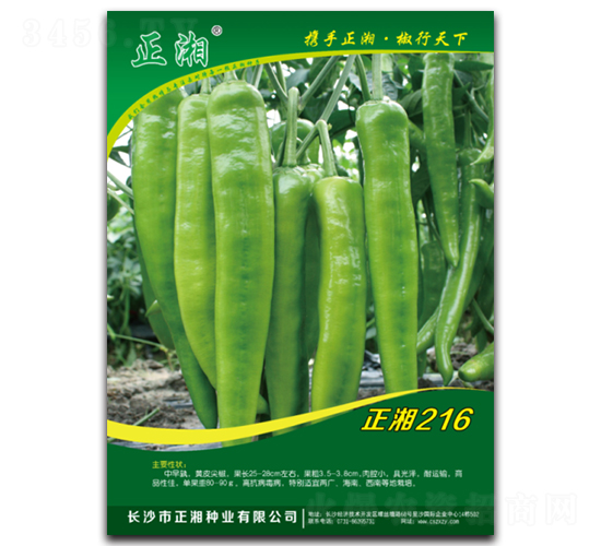����216-�߽�����-������ҵ