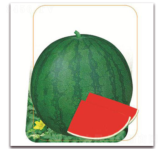 �հ�-��������-����ũҵ