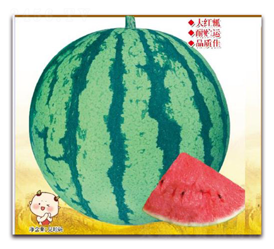 �㶼����-��������-����ũҵ