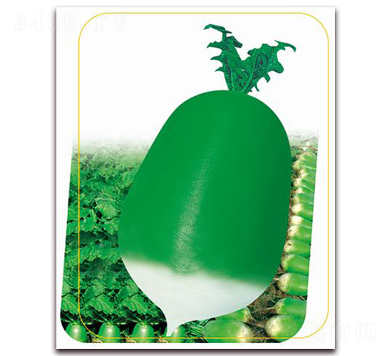 ����791-�ܲ�����-����ũҵ