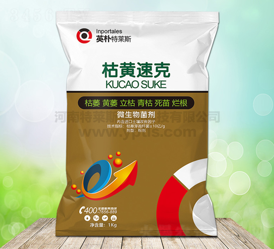 ΢�������-�ݻ��ٿ�-Ӣ������˹