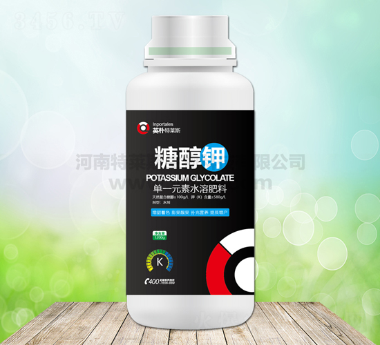 �Ǵ���-Ӣ������˹