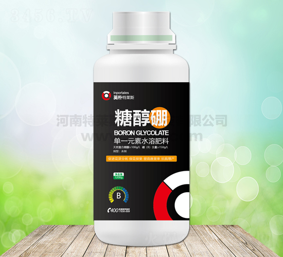 �Ǵ���-Ӣ������˹