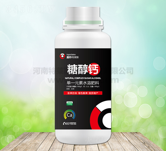 �Ǵ���-Ӣ������˹