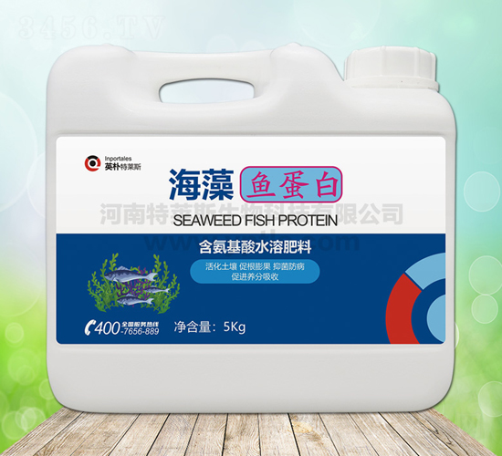 5kg�����㵰��-Ӣ������˹