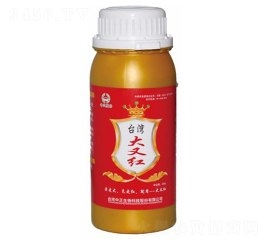̨����ֺ�-�󻪿�