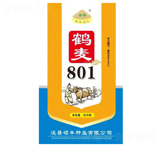 ����801-С������-˶��