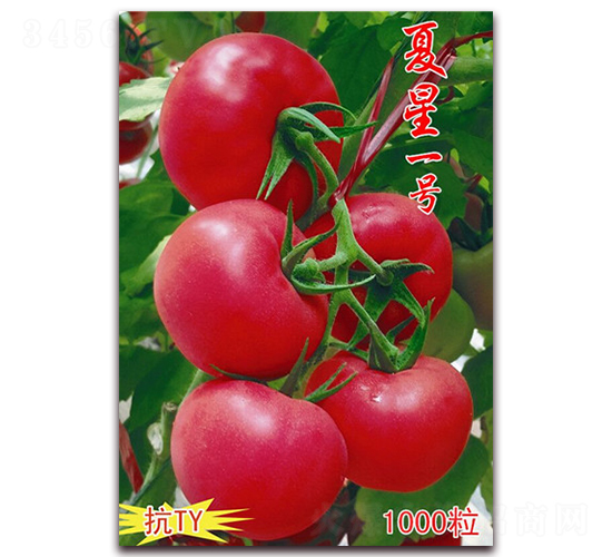 ����һ��-��ɫ��������-������ҵ