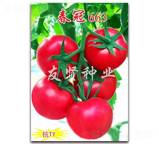 ����663-��ɫ��������-������ҵ