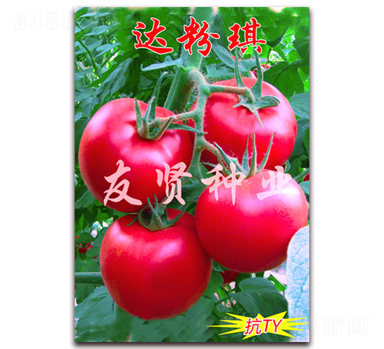 �����-��ɫ��������-������ҵ