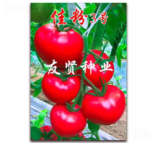 �ѷ�3��-��ɫ��������-������ҵ