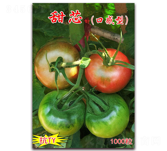 ��о-��ɫӣ��С��������-������ҵ