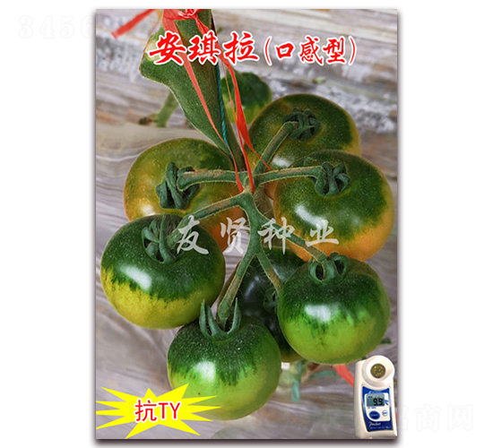 ������-��TY����ӣ��С��������-������ҵ